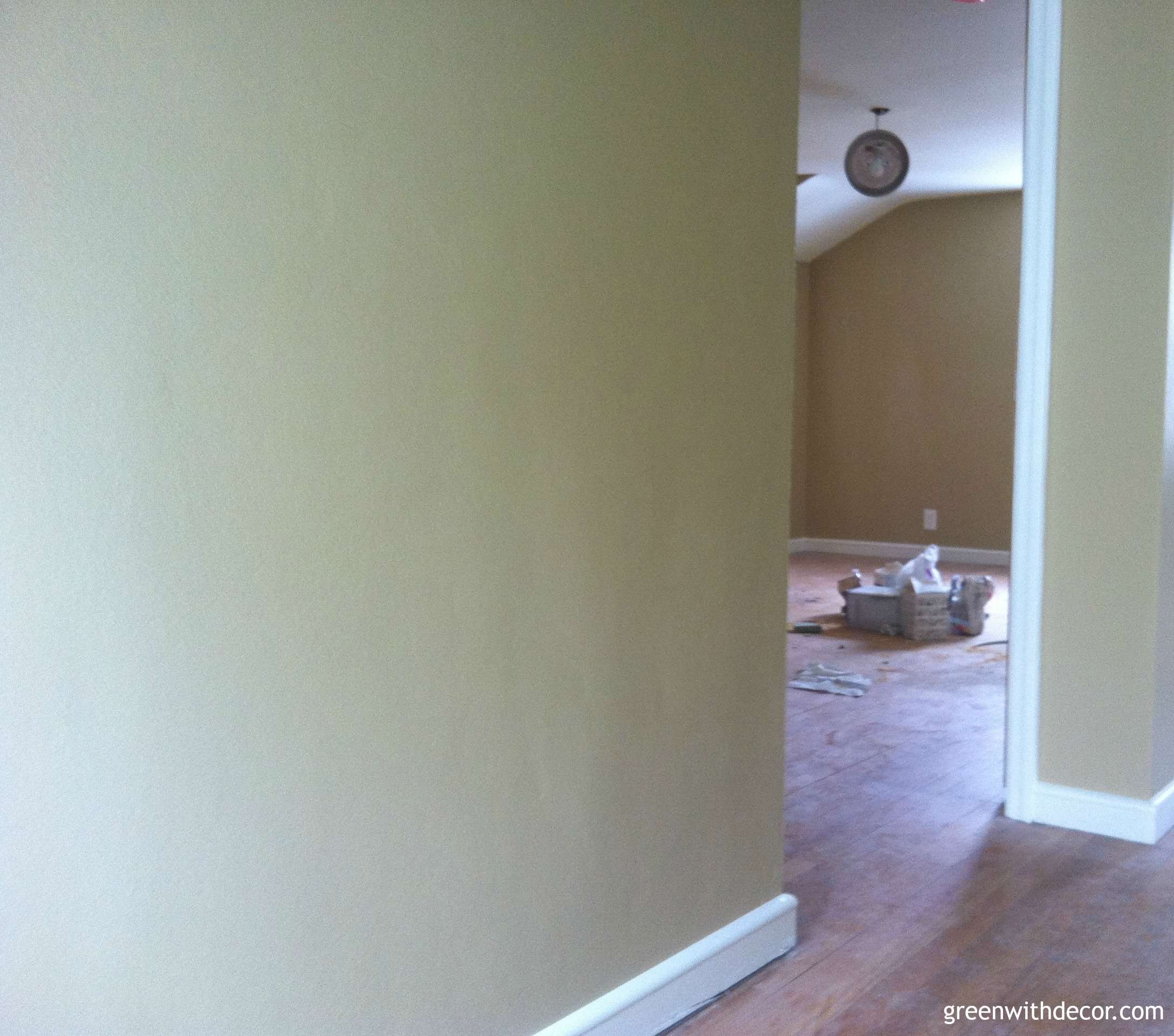 Green With Decor – Sherwin Williams Camelback paint hallway