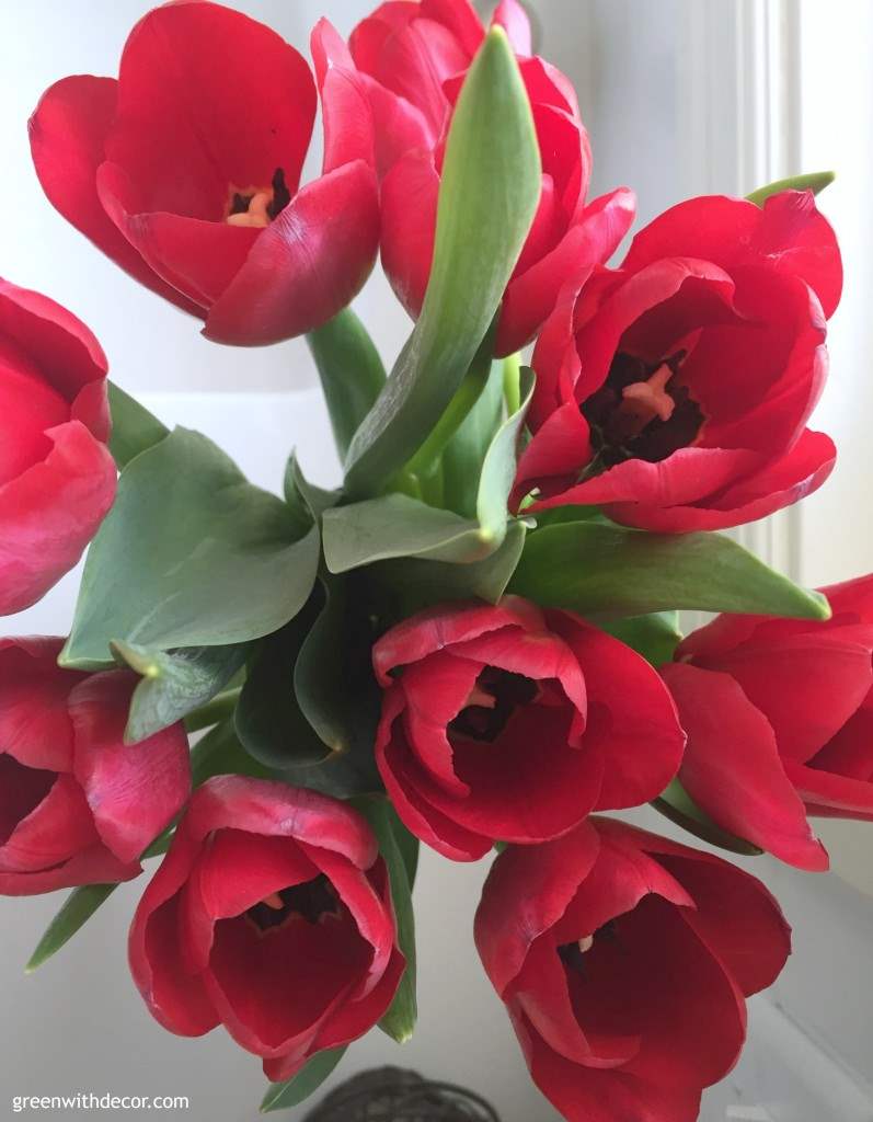 Green With Decor – red flowers