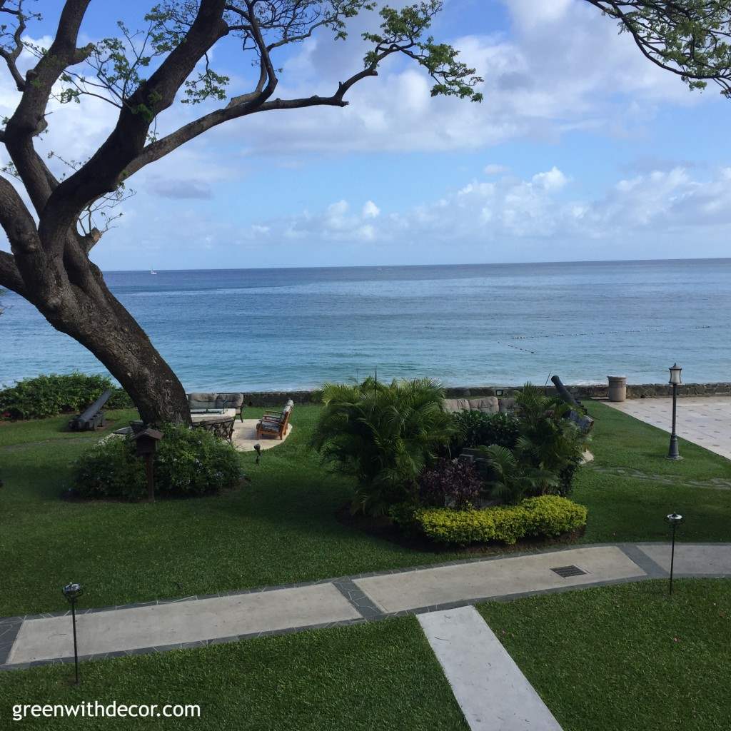 Green With Decor - St Lucia