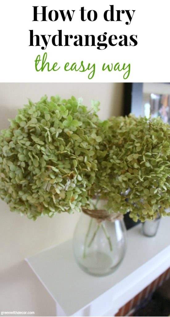 How to dry hydrangeas – I never knew it was this easy! This is so great, I need to try it!