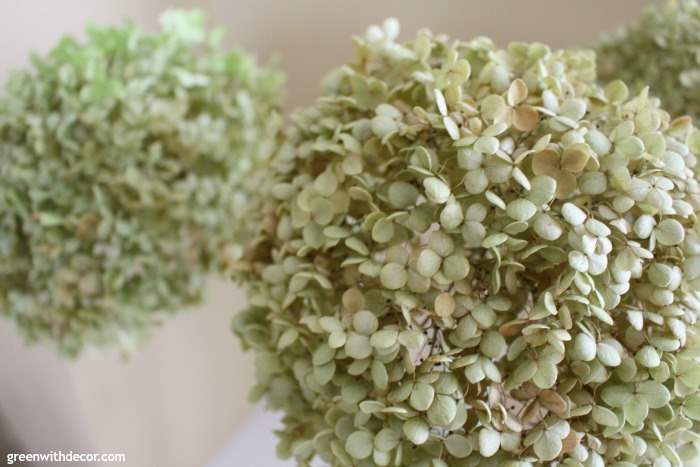 How to dry hydrangeas the easy way – Green With Decor