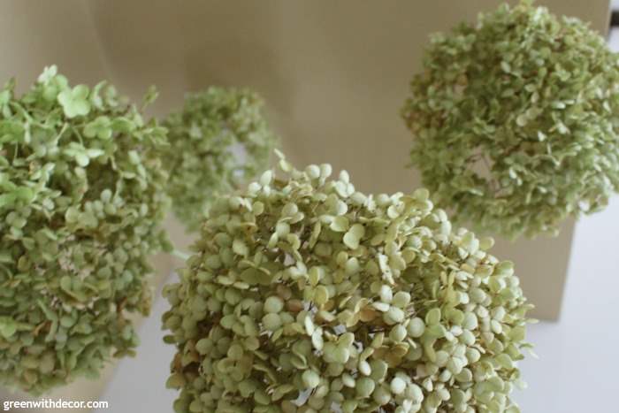 How to dry hydrangeas the easy way – Green With Decor