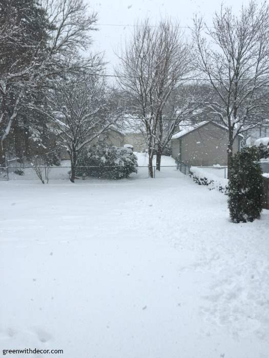 snow backyard