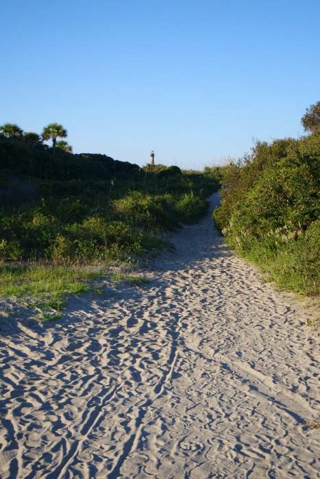 A sandy pathway surrounded by greenery in Folly Beach