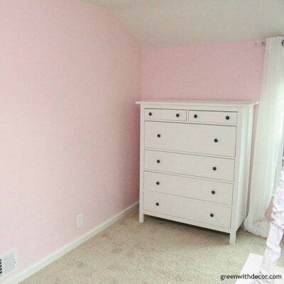 Impatiens Petal pink painted nursery