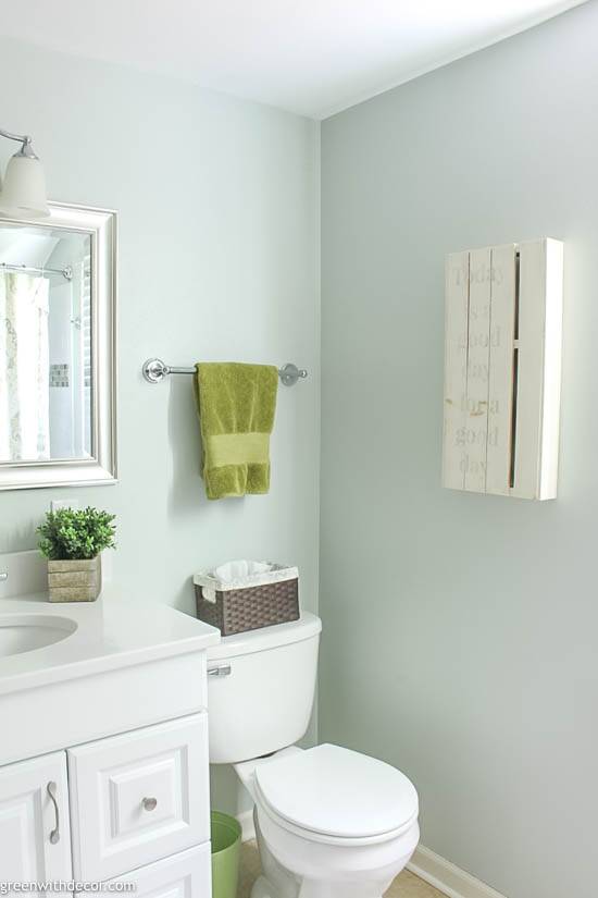 Sherwin Williams Sea Salt Bathroom