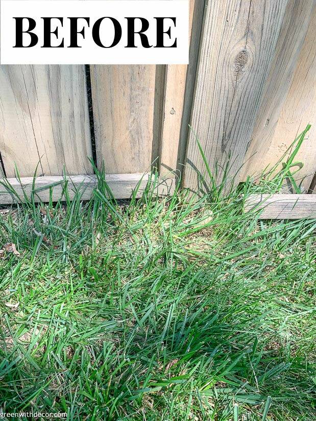 Grass along fence before trimmer