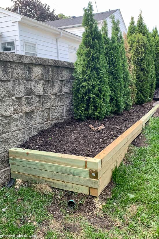 DIY planter box build with dirt and Arborvitae