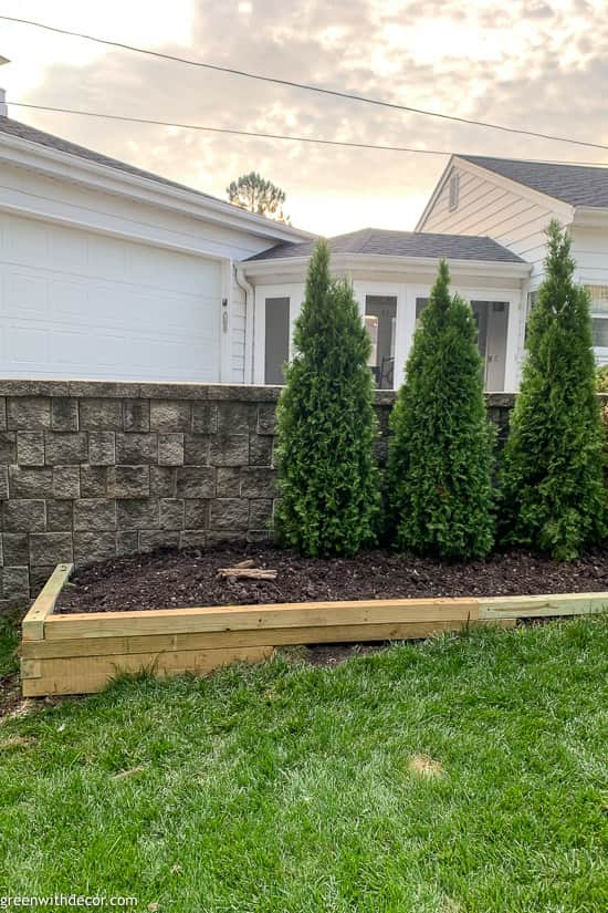 DIY planter box with Arborvitae