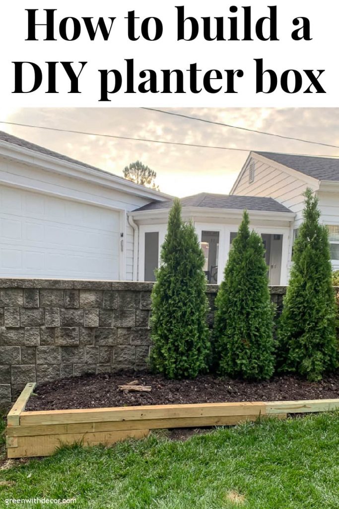 DIY planter box with Arborvitae with text overlay, "How to build a DIY planter box"