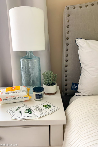 Disinfecting wipes, herb seed packets, candle + pillow